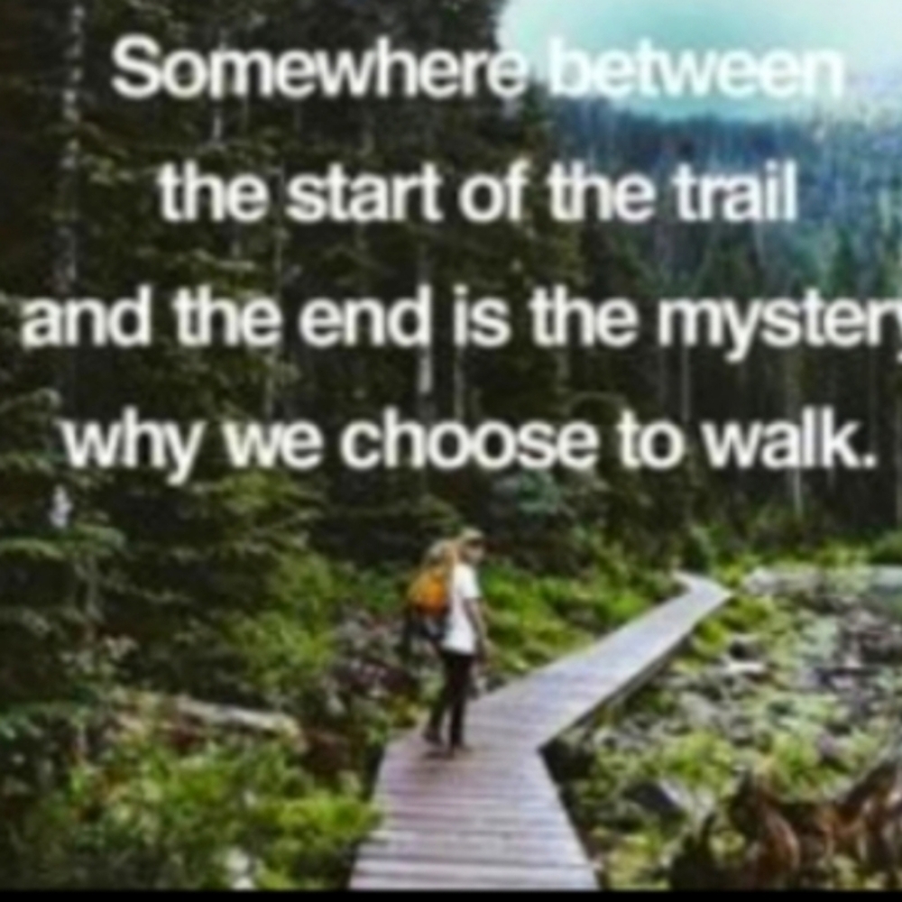 SOLD ❣️❣️❣️ RALPH LAUREN HOODIE UniSex  Sz - Picture 8 of 11